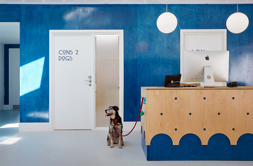 Ветеринарну клініку в Лондоні спеціально побудували так, щоб кішки та собаки не зустрічалися