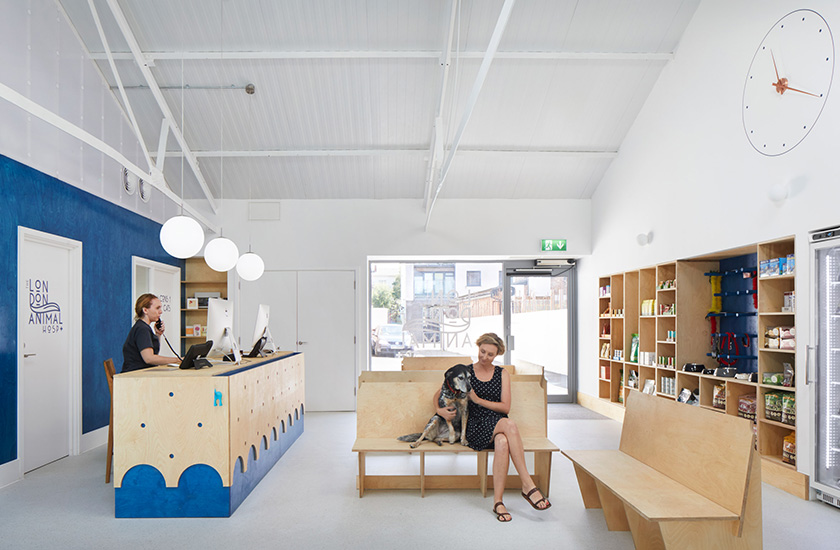 Ветеринарну клініку в Лондоні спеціально побудували так, щоб кішки та собаки не зустрічалися