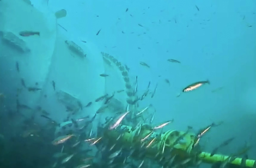 У підводному датацентрі Microsoft тепер є веб-камери з відкритим доступом