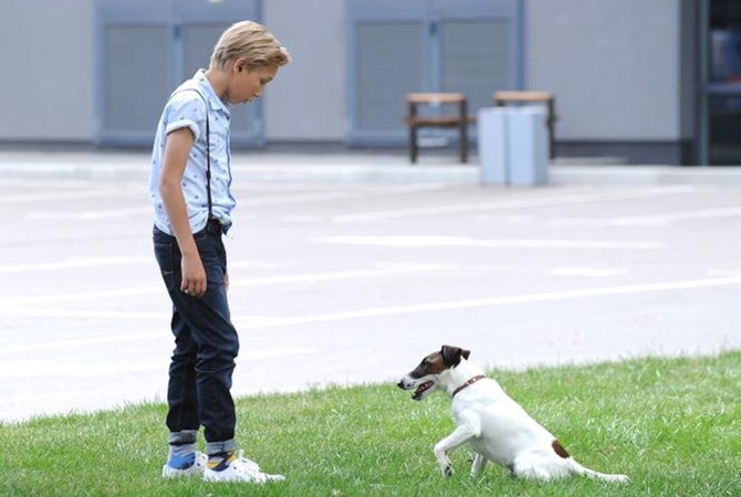 Фостер і Макс