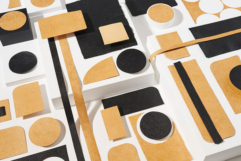 шкіра з грибів