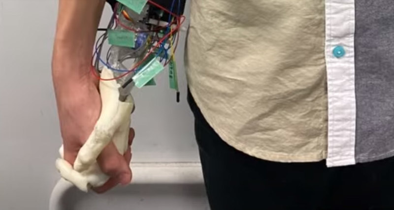 Японці створили роборуку для самотніх прогулянок