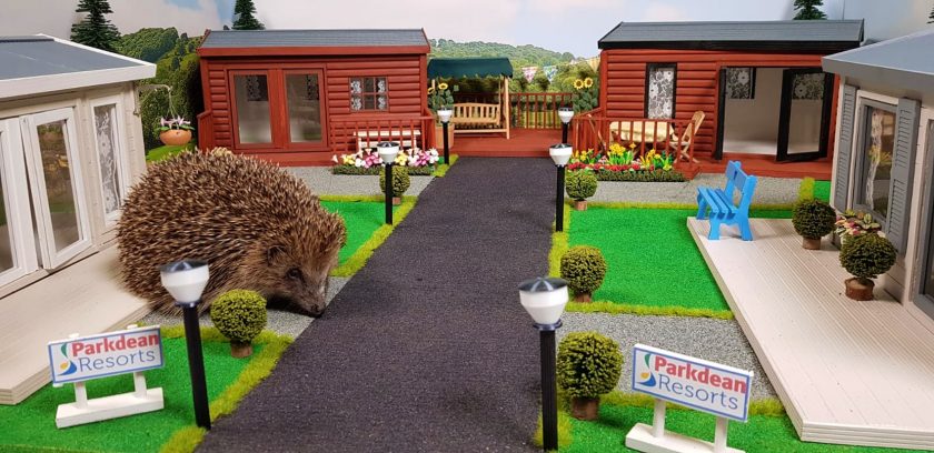 парк відпочинку для їжаків