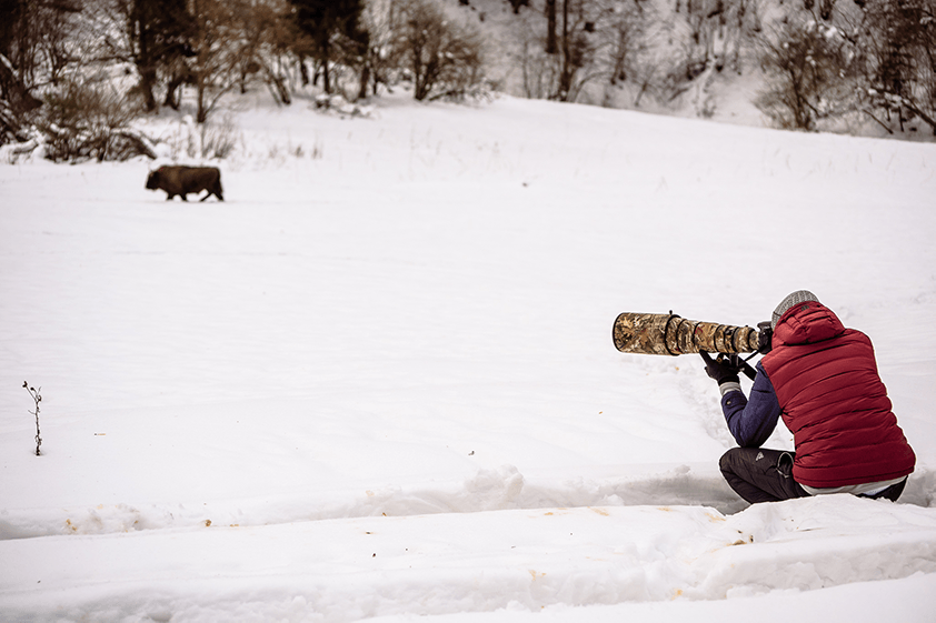 Фото: Роксолана Поцюрко