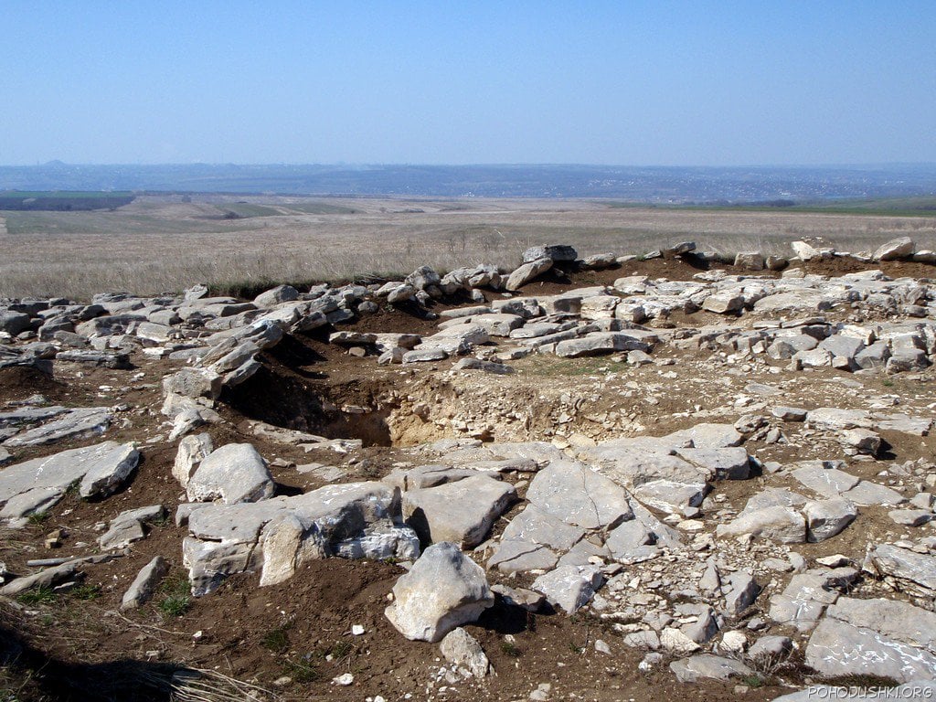 image-wrapper full-width-container