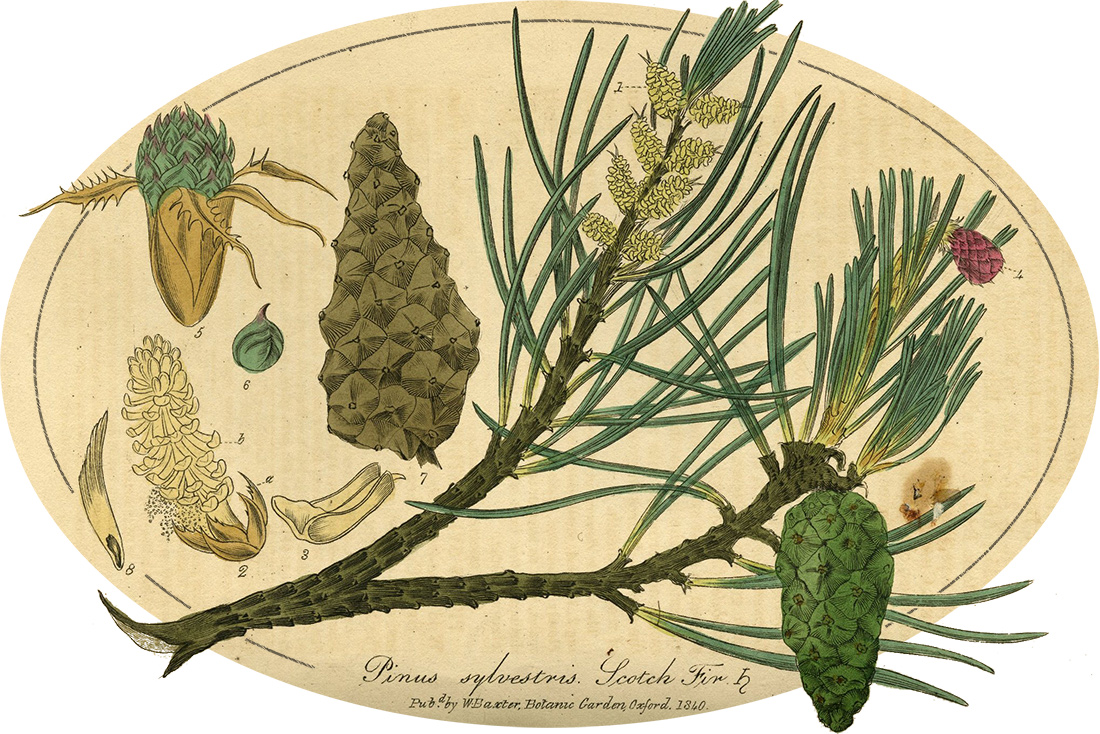 image-wrapper full-width-container