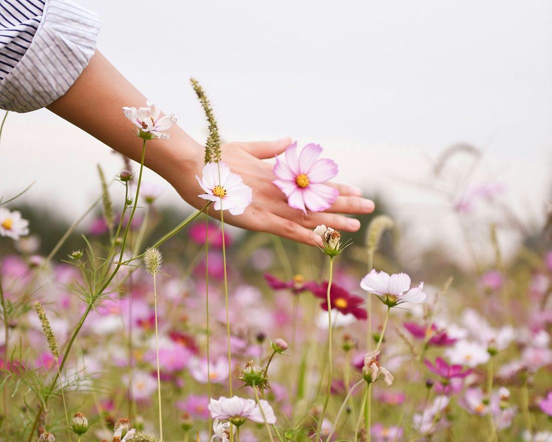 vertical_block_image