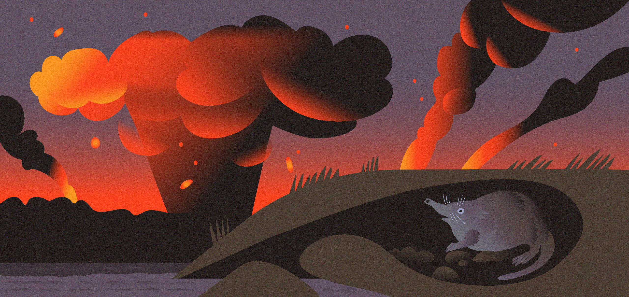 Marta Gozha - Illustrator