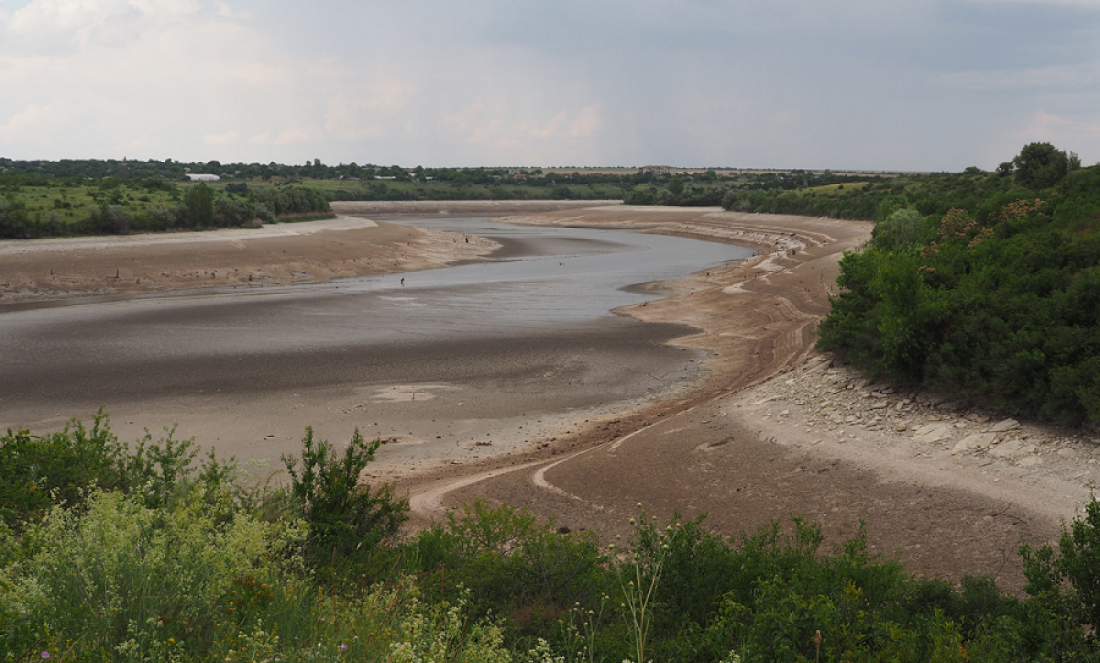 image-wrapper full-width-container