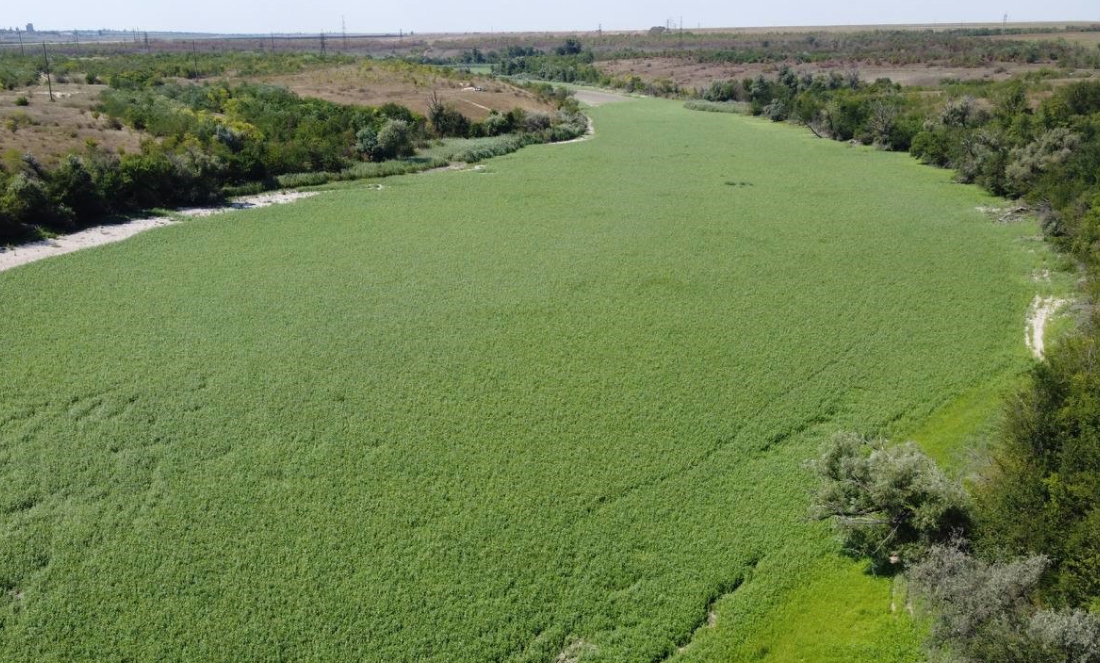 image-wrapper full-width-container