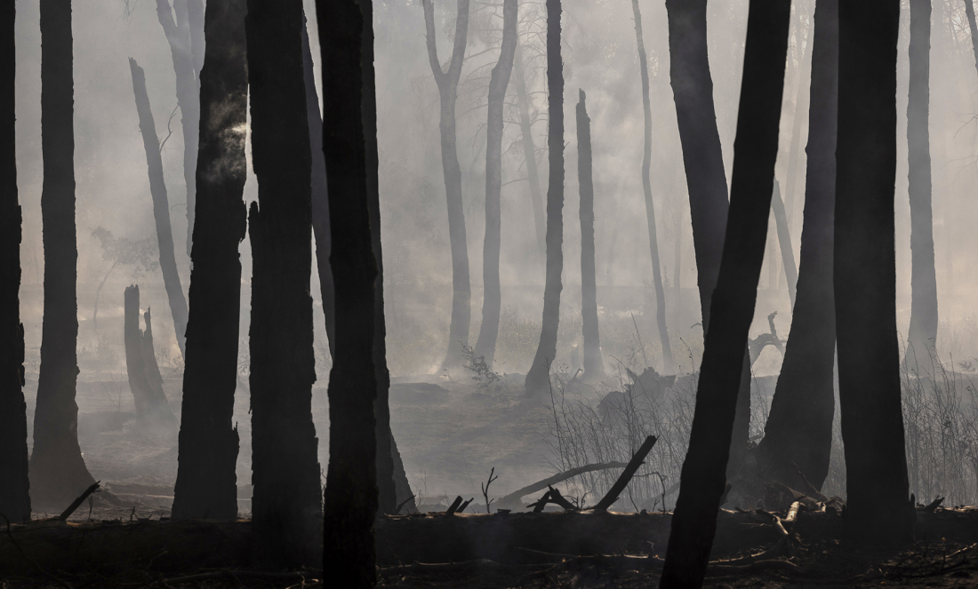 image-wrapper full-width-container