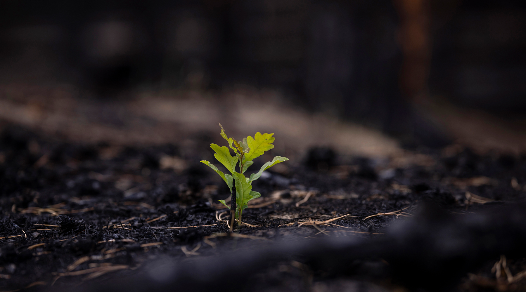 vertical_block_image