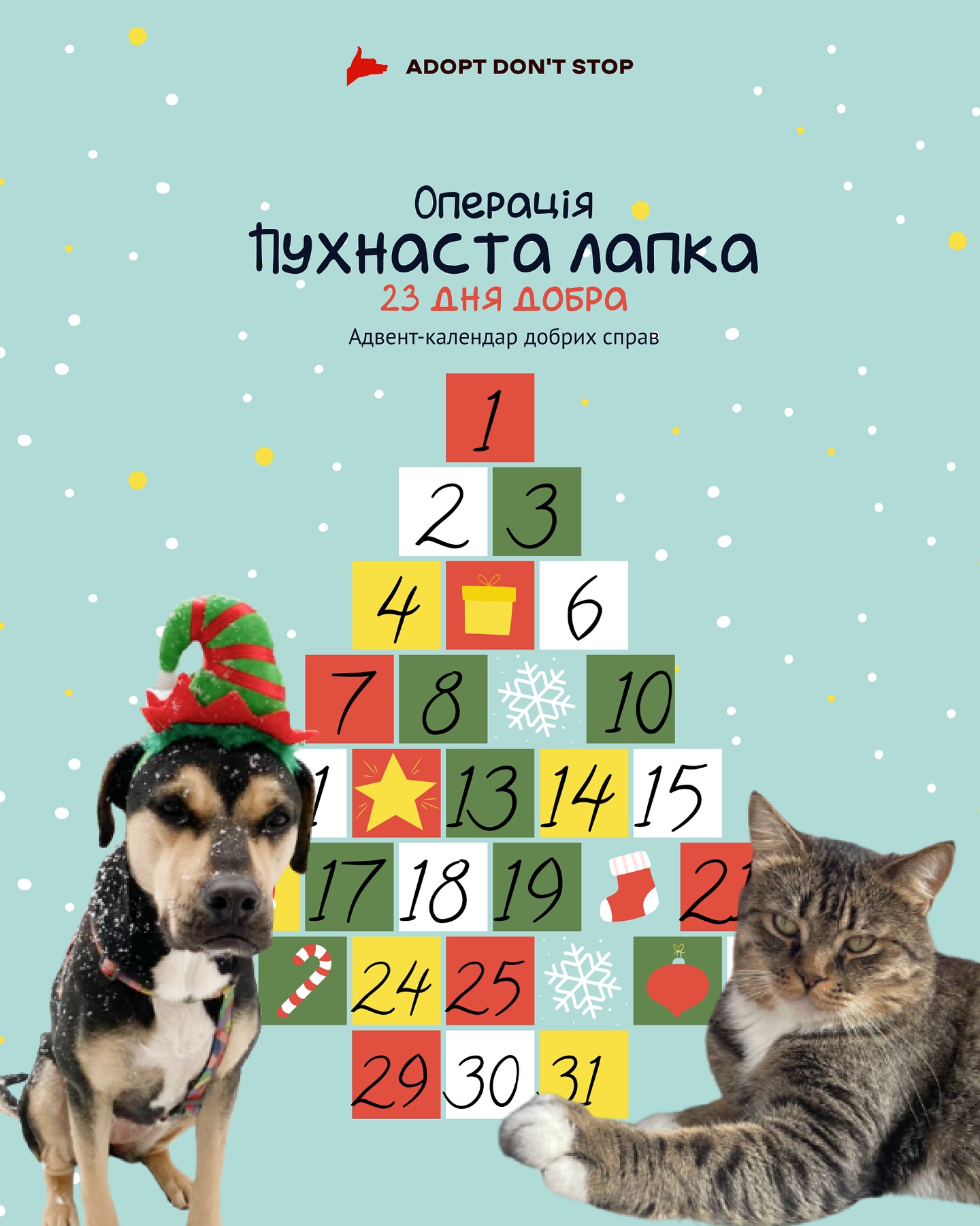 Adopt Don't Stop створили адвент-календар добрих справ на допомогу тваринам