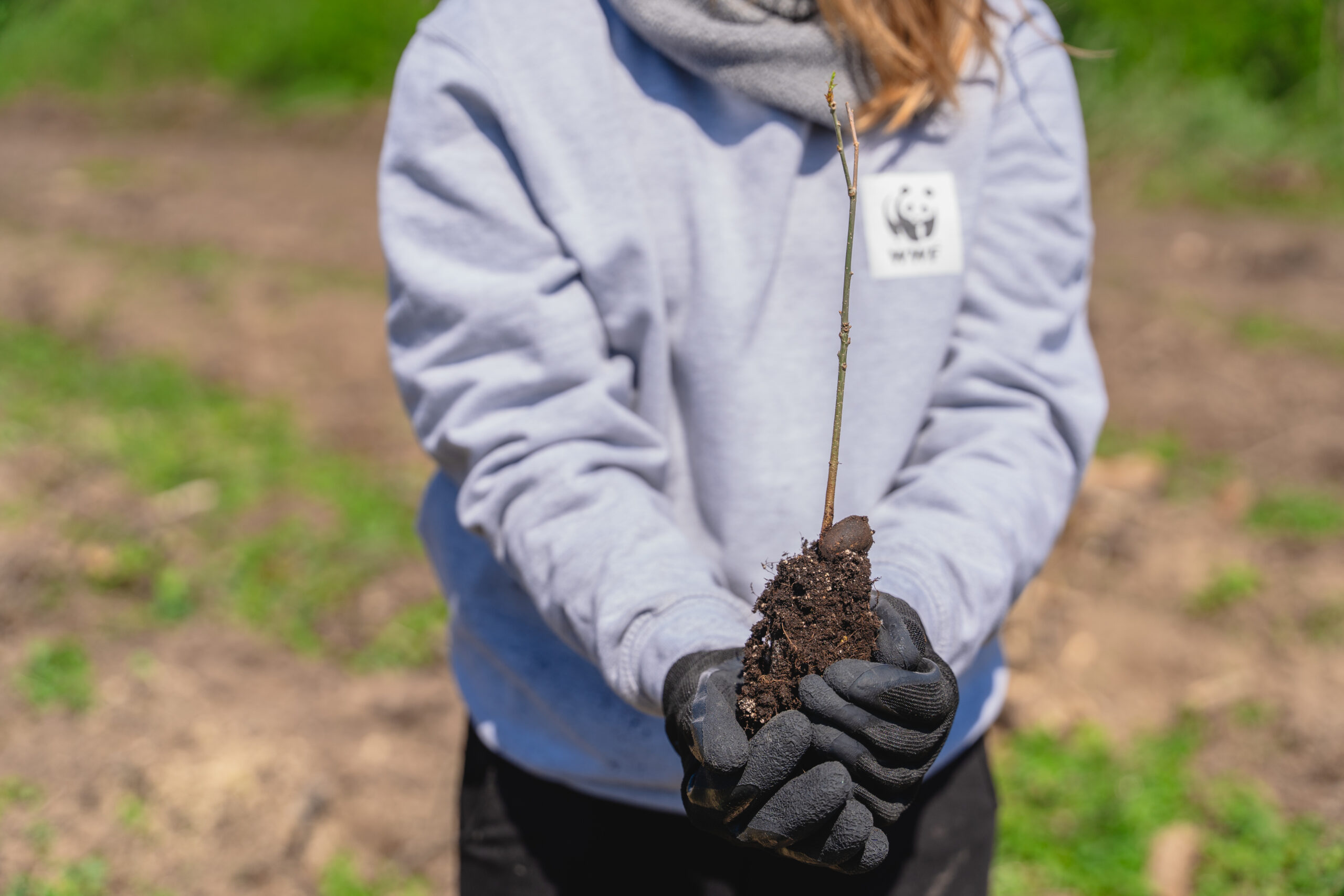 WWF-Україна закликає українців долучитися до ініціативи «Година Землі»
