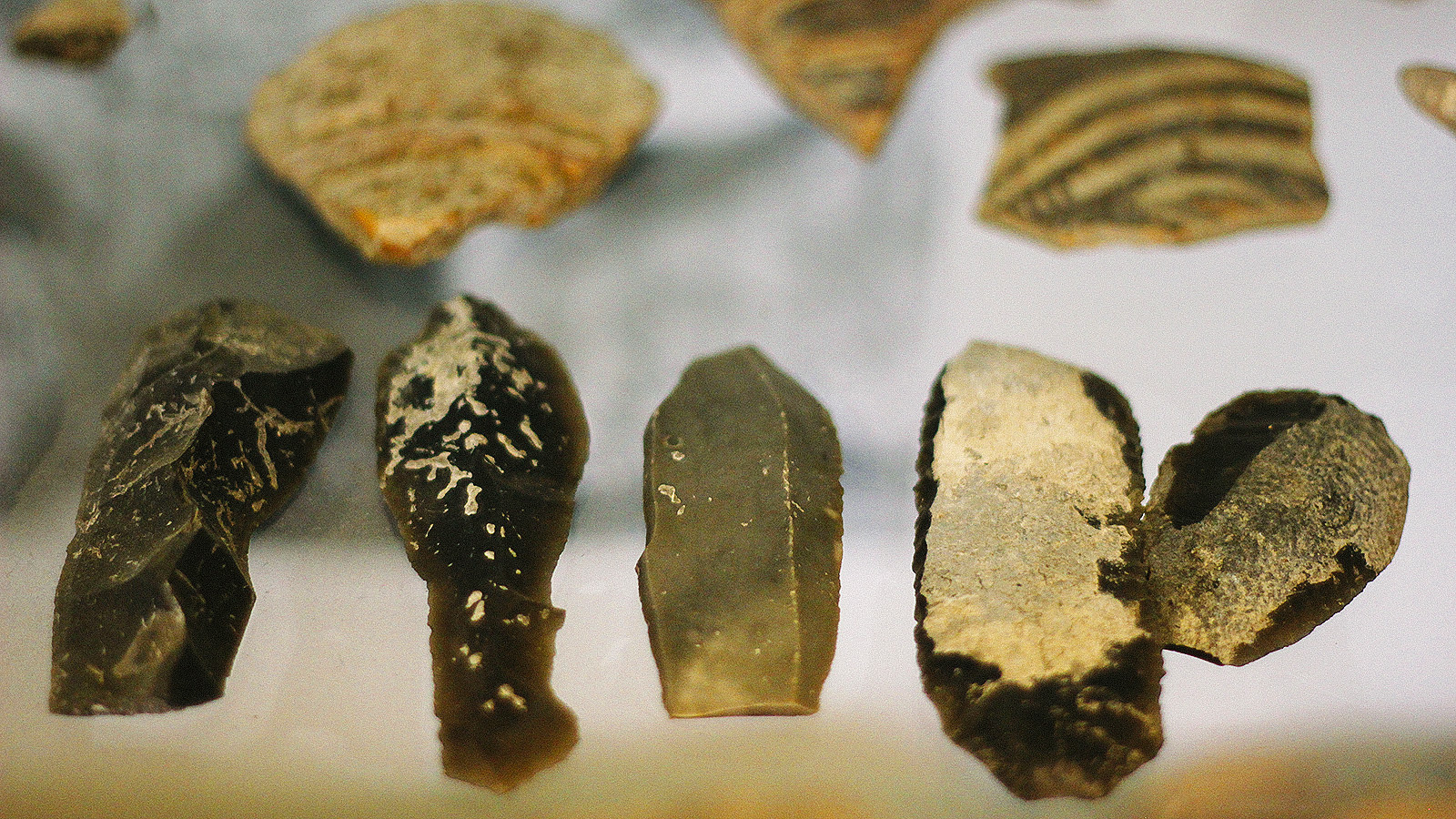 image-wrapper full-width-container