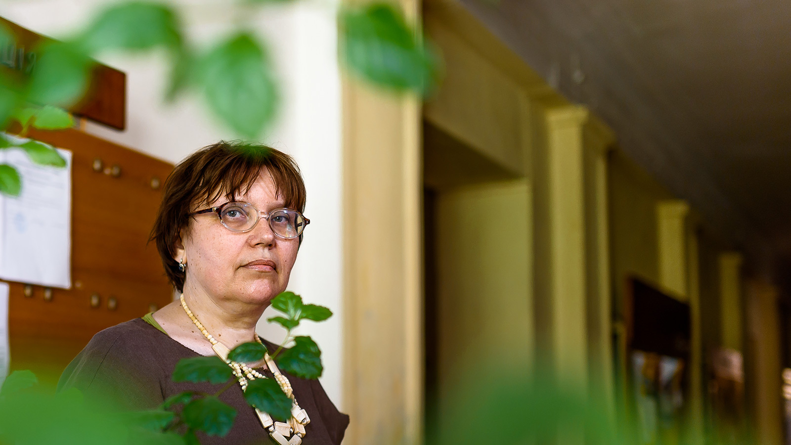 image-wrapper full-width-container