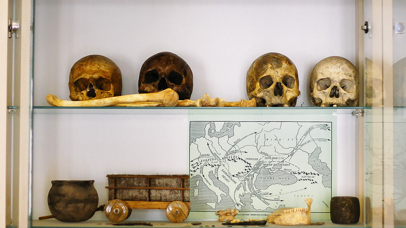 image-wrapper full-width-container