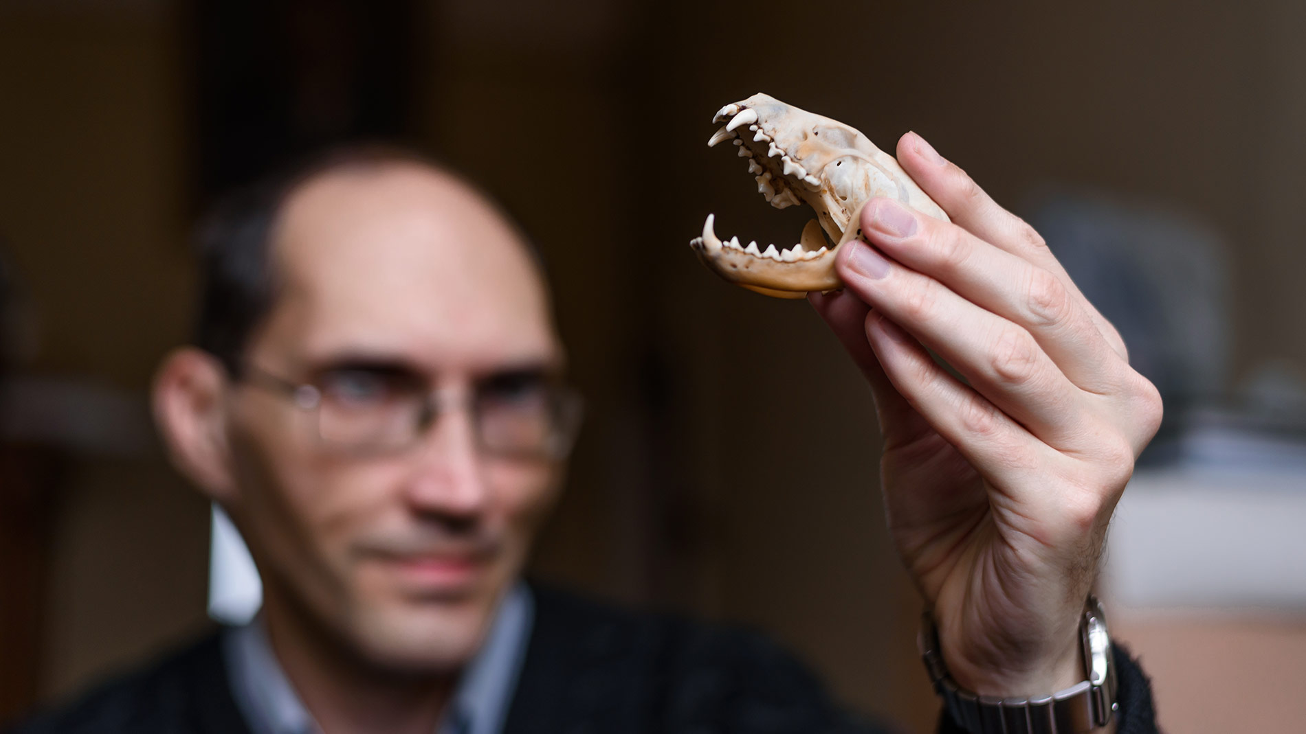 image-wrapper full-width-container