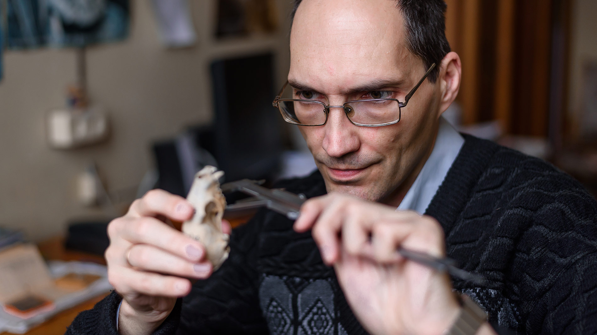 image-wrapper full-width-container