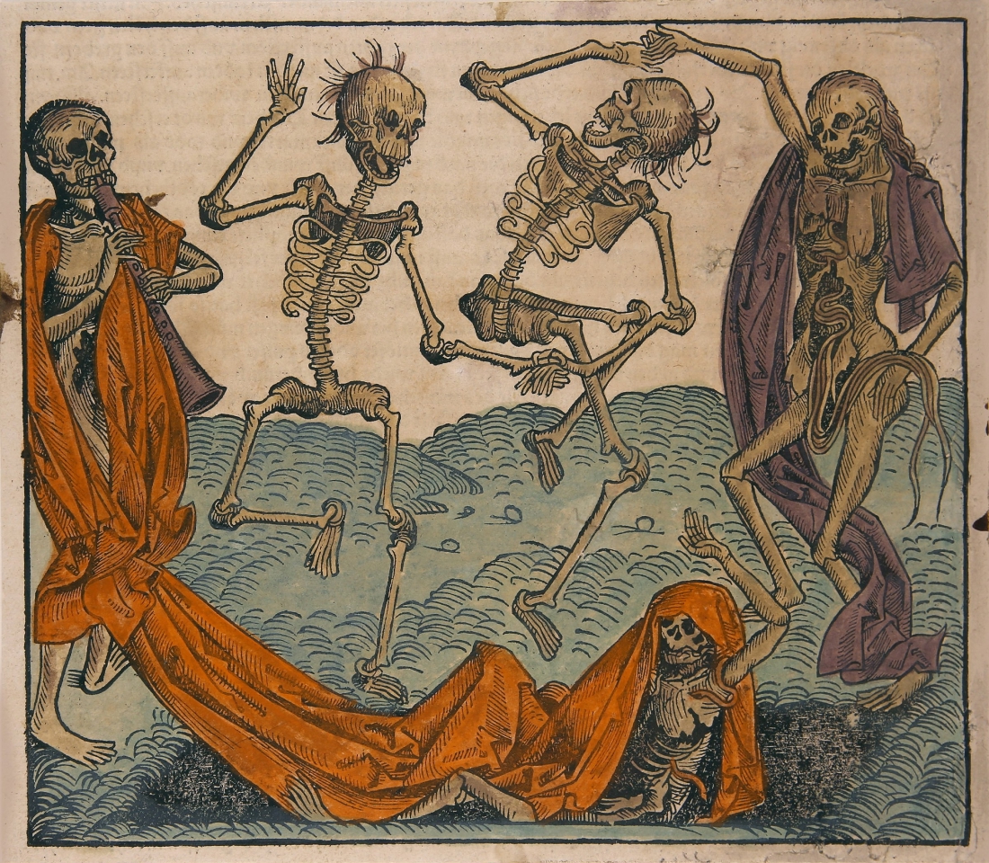 image-wrapper full-width-container