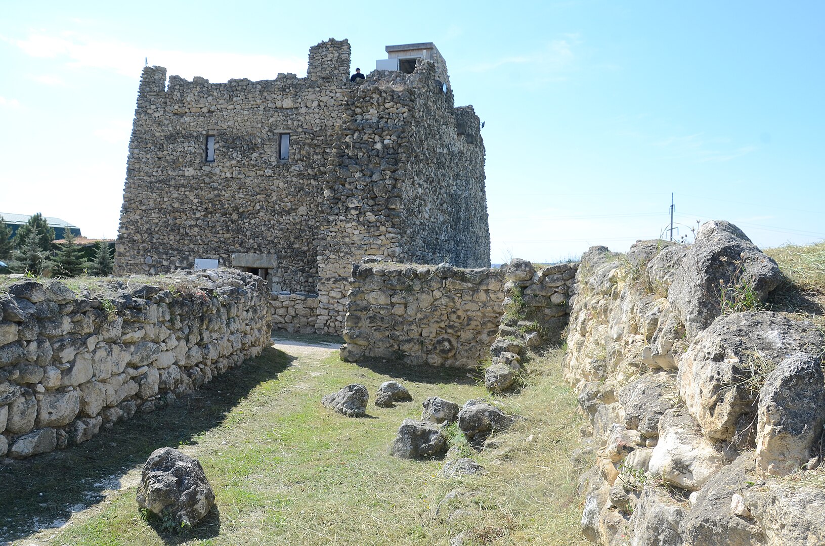 image-wrapper full-width-container