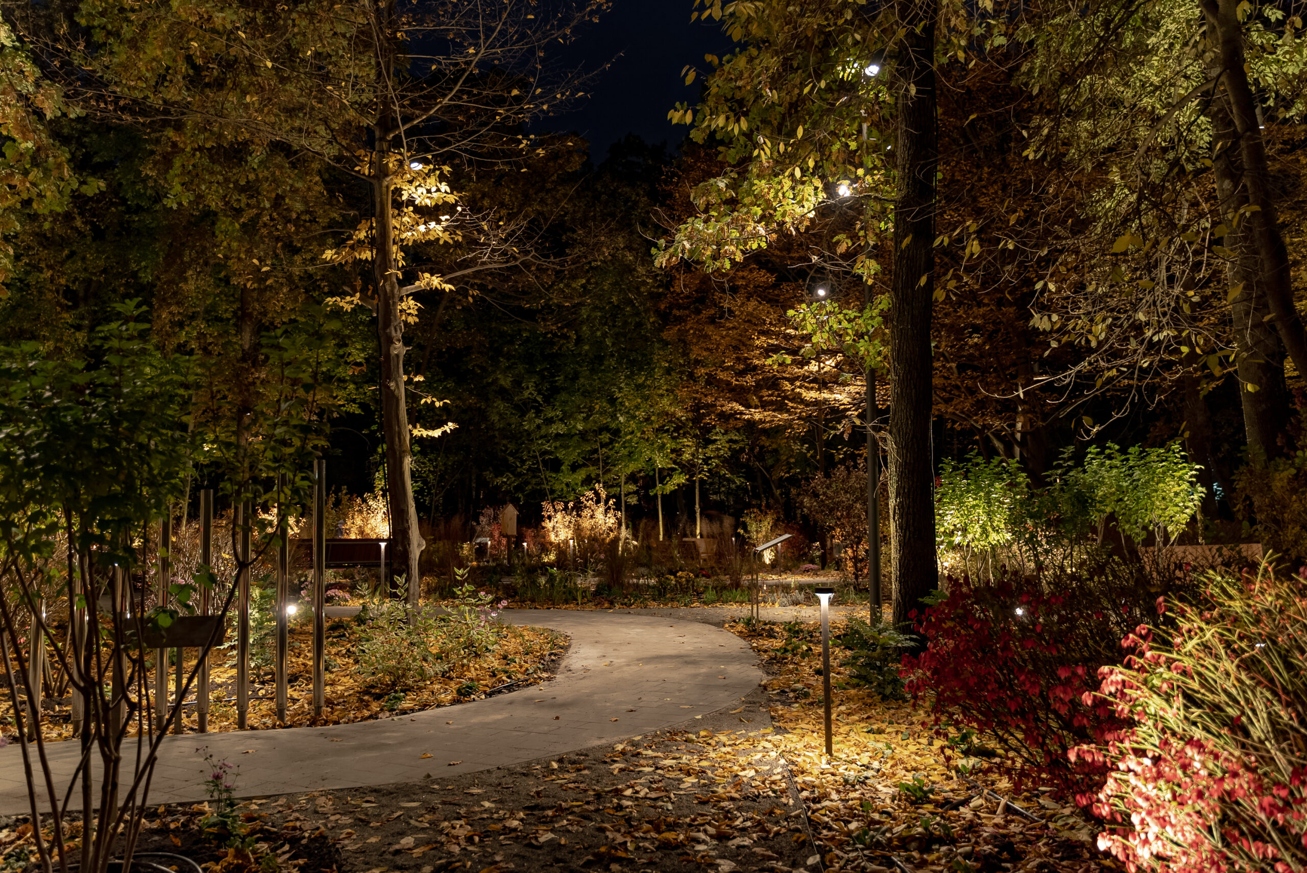 У Києві на ВДНГ відкрили терапевтичний сад з освітленням, що допомагає знижувати стрес