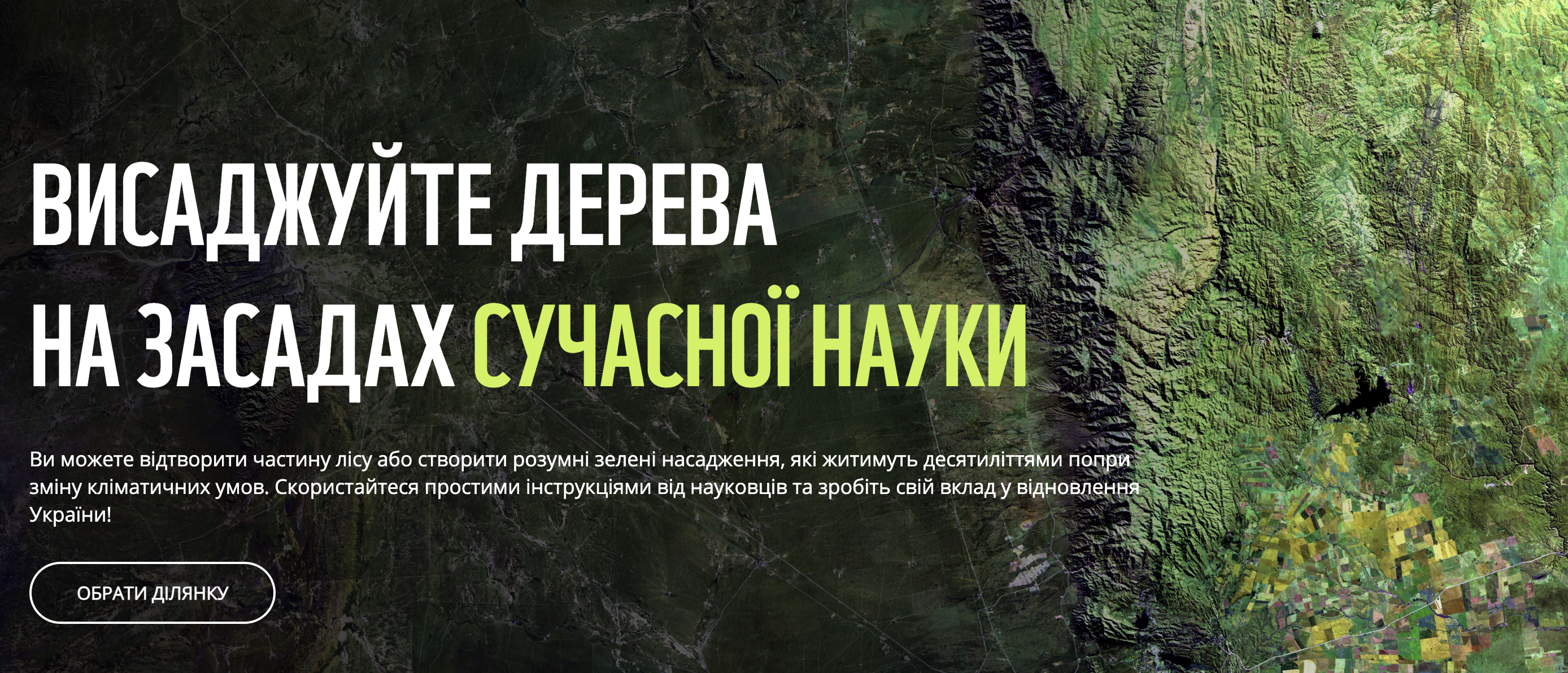 В Україні створили платформу-путівник для всіх, хто прагне відновлювати ліси