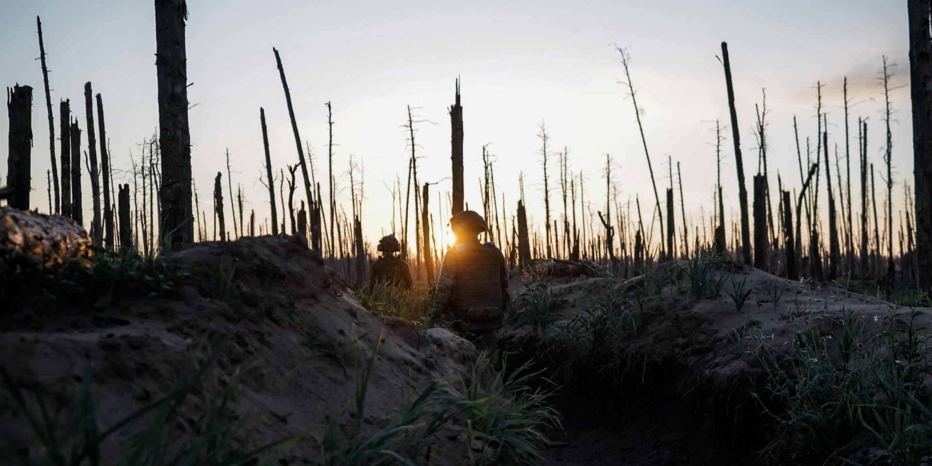 Майже 30% лісів України зазнали шкоди під час війни: аналіз WWF-Україна. Фото: Азов