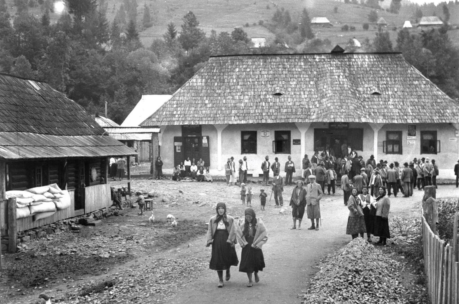 image-wrapper full-width-container