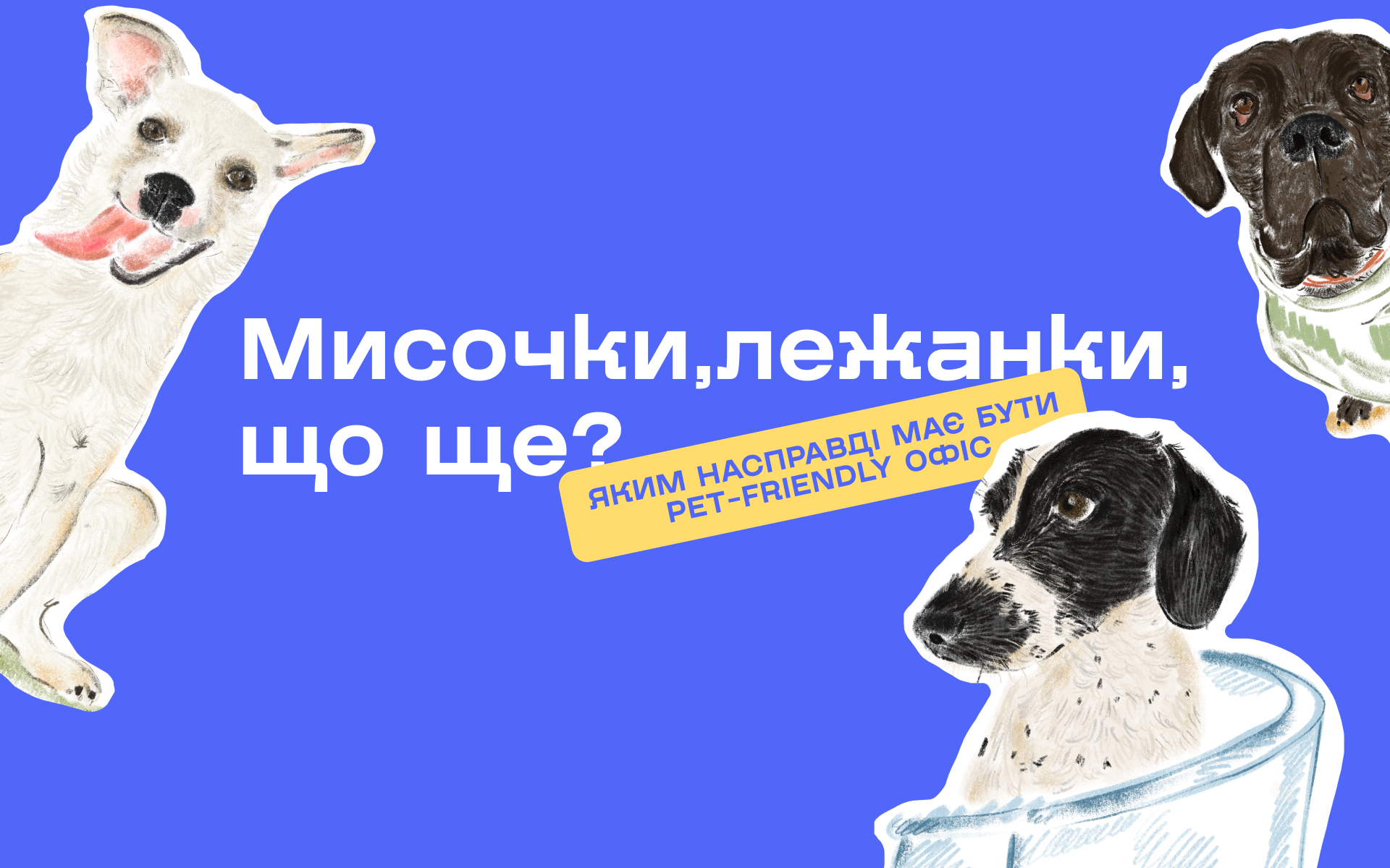 «Візьми собаку на роботу»: випустили практичний гід для pet-friendly офісів